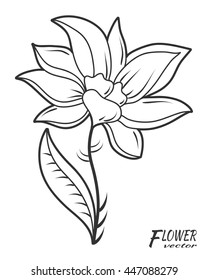 Decorative graphic flower. Hand drawn floral pattern. Sketch doodle flower. Template with botanical illustration. Vector black and white floral background.