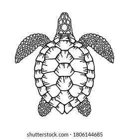 Decorative graphic vector turtle for coloring book with vintage outline style.Environment pollution, ecological problem isolated vector illustrations. Planet protection t shirt print idea.