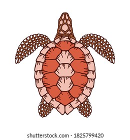 Decorative graphic vector turtle for coloring book with vintage outline style.Environment pollution, ecological problem isolated vector illustrations. Planet protection t shirt print idea. 