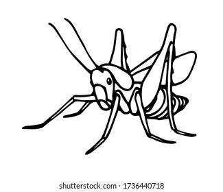 saltamontes decorativos, insecto invertebrado, langosta voraz, ilustración vectorial con líneas de contorno de tinta negra aisladas en fondo blanco con estilo dibujado a mano