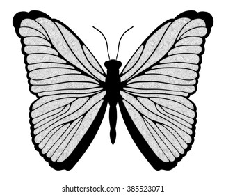 Decorative gray butterfly, isolated on white background. Vector illustration.