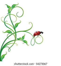 Decorative green branch and ladybird