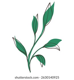 Decorative Green Branch with Simple Brush Line Decorations. Colorful foliage with cute line sketches of branches isolated on white background. Nature herb perfect for invitations, cards, posters