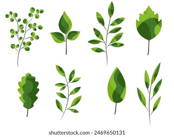 Decorative green branches, leaves vector illustration set. Abstract cute plants for eco collage. Vegetation leaves foliage flat design element