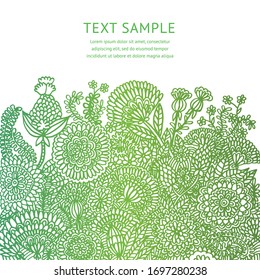 Decorative green field flowers. Outline illustration of wild herbs. Vector template for design and decoration for ecology project
