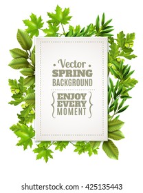 Decorative green frame with spring leaves and branches of deciduous trees and white rectangle with text in foreground vector illustration 