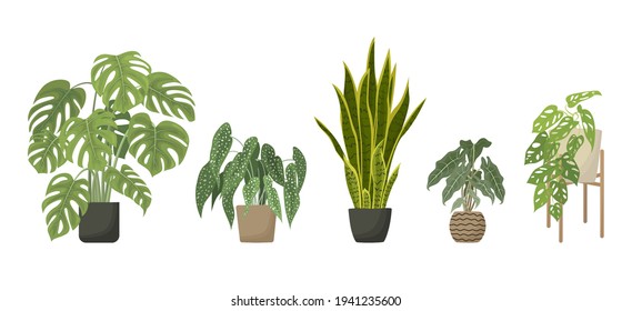 Decorative Green House plants set. Cute Indoor flower pot collection for home and office decoration. Tropical houseplants for interior. Flat Cartoon Vector illustration isolated on white background