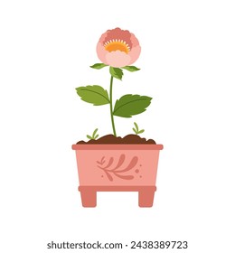 Decorative green houseplant in pot. Home decor and urban jungle. Pink flower in pot. Spring or summer decoration. Hobbies, trendy home decor, taking care of plants. Green plants. Vector illustration.