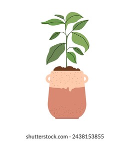 Decorative green houseplant in pot and planter, natural home decor and urban jungle. Spring or summer decoration. Hobbies, trendy home decor, taking care of plants. Green plants. Vector illustration.