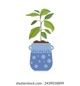 Decorative green houseplant in pot and planter, natural home decor and urban jungle. Spring or summer decoration. Hobbies, trendy home decor, taking care of plants. Green plants. Vector illustration.