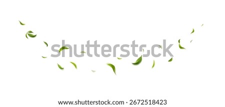Decorative green leaves flowing pattern isolated on transparent background for eco design and nature projects