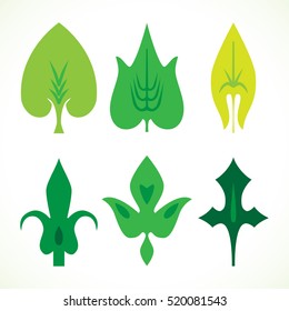 Decorative green leaves pattern set isolated on white vector. Various shapes of green leaves. Elements for eco and bio logos