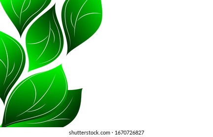 Decorative green leaves vector background, space for text, environment concept.