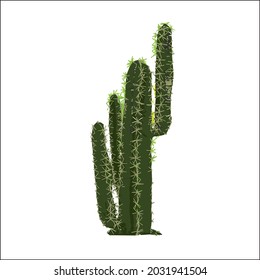 Dibujo de vectores de plantas verdes decorativos sobre fondo blanco plano