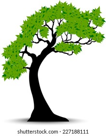 Decorative Green Tree Silhouette With Green Leaves And Wind
