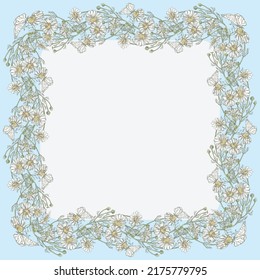Decorative greeting card with border from drawn meadow camomiles bunches