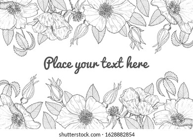 Decorative greeting card with wild roses. Post card with beautiful flowers of rosehip. Free place for text. Vector design.