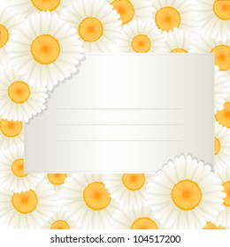 Decorative greeting text card with oxeye daisy frame.