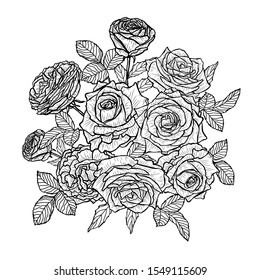 Decorative han drawn rose  flowers, design elements. Can be used for cards, invitations, banners, posters, print design. Floral background in line art style