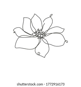 Decorative hand drawn anemone flower, design element. Can be used for cards, invitations, banners, posters, print design. Continuous line art style