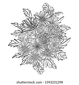 Decorative hand drawn aster  flowers, design elements. Can be used for cards, invitations, banners, posters, print design. Floral background in line art style