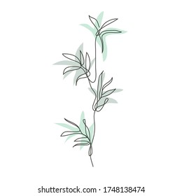 Decorative hand drawn bamboo plant, design element. Can be used for cards, invitations, banners, posters, print design. Continuous line art style