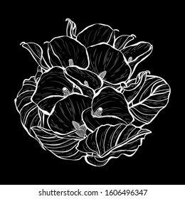 Decorative hand drawn calla flowers, design elements. Can be used for cards, invitations, banners, posters, print design. Floral background in line art style