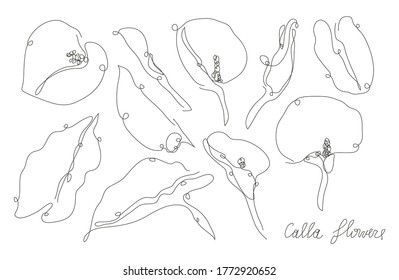 Decorative hand drawn calla flowers set, design elements. Can be used for cards, invitations, banners, posters, print design. Continuous line art style