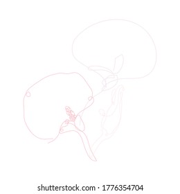 Decorative hand drawn calla flowers, design elements. Can be used for cards, invitations, banners, posters, print design. Continuous line art style