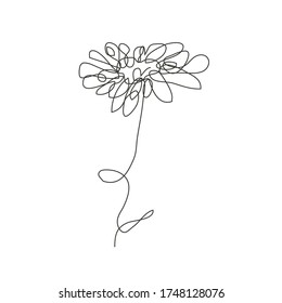 Flor de manzanilla dibujada a mano, elemento de diseño. Se puede usar para tarjetas, invitaciones, banners, afiches, diseño de impresión. Estilo de arte de línea continuo