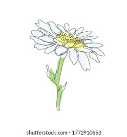 Decorative hand drawn chamomile flower, design element. Can be used for cards, invitations, banners, posters, print design. Continuous line art style