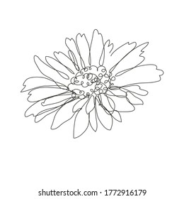 Decorative hand drawn chamomile flower, design element. Can be used for cards, invitations, banners, posters, print design. Continuous line art style