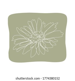 Decorative hand drawn chamomile flower, design element. Can be used for cards, invitations, banners, posters, print design. Continuous line art style
