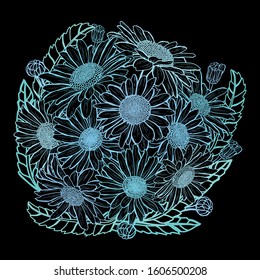 Decorative hand drawn chamomile  flowers, design elements. Can be used for cards, invitations, banners, posters, print design. Floral background in line art style