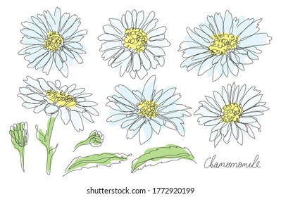 Decorative hand drawn chamomile flowers set, design elements. Can be used for cards, invitations, banners, posters, print design. Continuous line art style