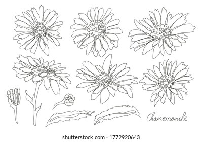 Decorative hand drawn chamomile flowers set, design elements. Can be used for cards, invitations, banners, posters, print design. Continuous line art style