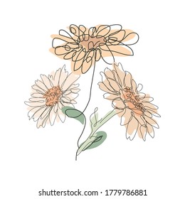 Decorative hand drawn chamomile flowers, design elements. Can be used for cards, invitations, banners, posters, print design. Continuous line art style