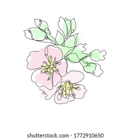 Decorative hand drawn cherry blossom sakura flowers, design element. Can be used for cards, invitations, banners, posters, print design. Continuous line art style