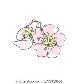Decorative hand drawn cherry blossom sakura flowers, design element. Can be used for cards, invitations, banners, posters, print design. Continuous line art style