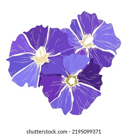 Decorative hand drawn clematis flowers, design elements. Can be used for cards, invitations, banners, posters, print design. Floral background