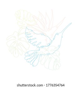 Decorative hand drawn colibri, strelitzia and monstera, design elements. Can be used for cards, invitations, banners, posters, print design. Continuous line art style