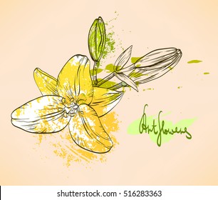 Decorative hand drawn colored flowers. Contour lily flowers with paint drops and blobs on beige background. Grunge hand drawn flower. Garden decorative lily  with ink spots and black contour. 