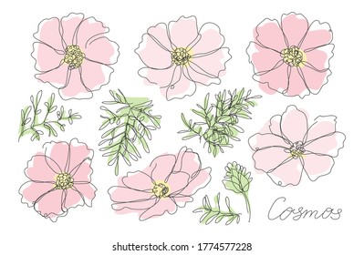 Decorative hand drawn cosmos flowers set, design element. Can be used for cards, invitations, banners, posters, print design. Continuous line art style