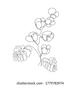 Decorative hand drawn cotton and monstera, design elements. Can be used for cards, invitations, banners, posters, print design. Continuous line art style