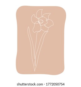 Decorative hand drawn daffodil flower, design element. Can be used for cards, invitations, banners, posters, print design. Continuous line art style