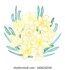 Decorative hand drawn daffodil  flowers, design elements. Can be used for cards, invitations, banners, posters, print design. Floral background in line art style