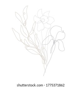 Decorative hand drawn daffodil and iris flowers, design elements. Can be used for cards, invitations, banners, posters, print design. Continuous line art style