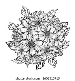 Decorative hand drawn dahlia  flowers, design elements. Can be used for cards, invitations, banners, posters, print design. Floral background in line art style