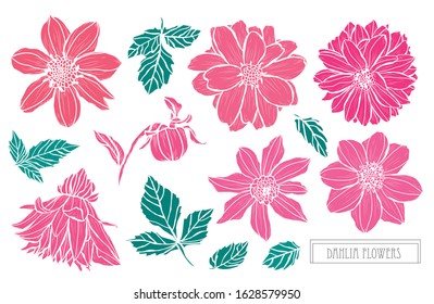 Decorative hand drawn dahlia flowers set, design elements. Can be used for cards, invitations, banners, posters, print design. Floral background in line art style