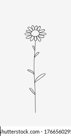 
Decorative Hand Drawn Daisy Sketch Isolated On Grey. Vector Wild Field Flower. Line Art Illustration. 
